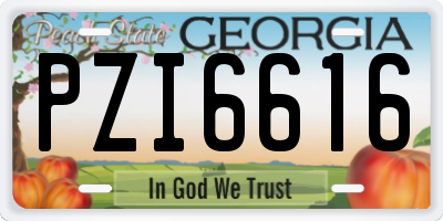 GA license plate PZI6616