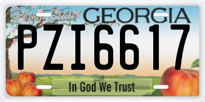 GA license plate PZI6617