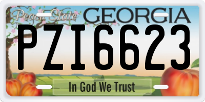 GA license plate PZI6623