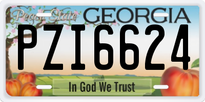 GA license plate PZI6624