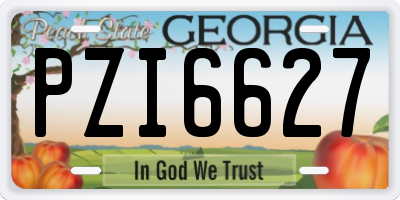 GA license plate PZI6627