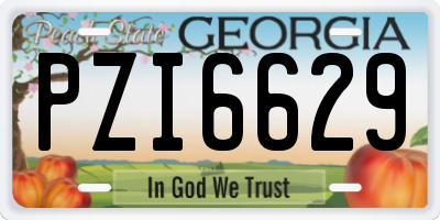 GA license plate PZI6629
