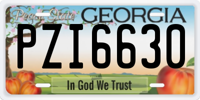 GA license plate PZI6630
