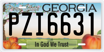 GA license plate PZI6631