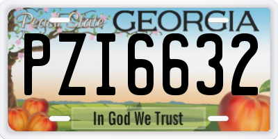 GA license plate PZI6632