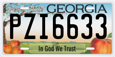 GA license plate PZI6633
