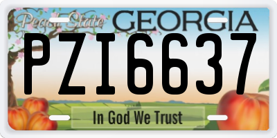 GA license plate PZI6637