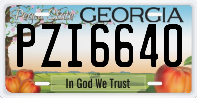 GA license plate PZI6640
