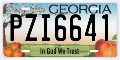 GA license plate PZI6641