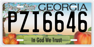 GA license plate PZI6646