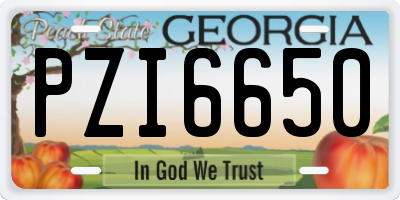 GA license plate PZI6650