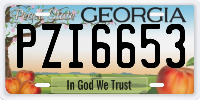 GA license plate PZI6653