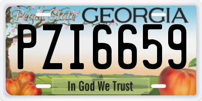 GA license plate PZI6659