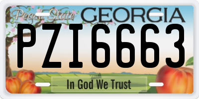 GA license plate PZI6663