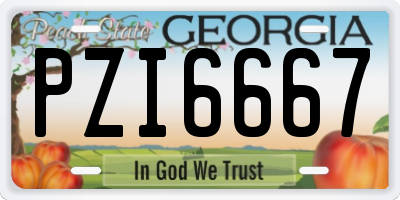 GA license plate PZI6667
