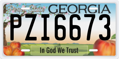 GA license plate PZI6673