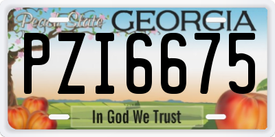 GA license plate PZI6675