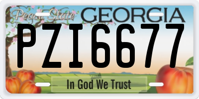 GA license plate PZI6677