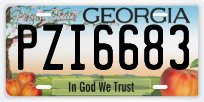 GA license plate PZI6683