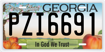 GA license plate PZI6691