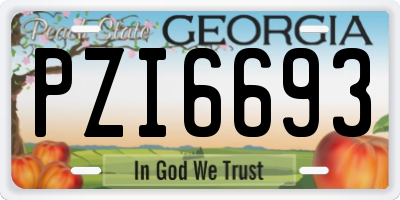 GA license plate PZI6693