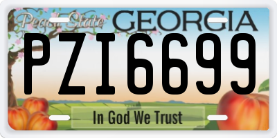 GA license plate PZI6699
