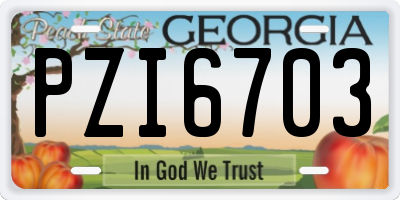 GA license plate PZI6703