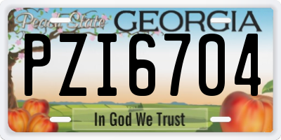GA license plate PZI6704