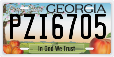 GA license plate PZI6705