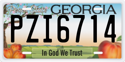GA license plate PZI6714