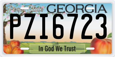 GA license plate PZI6723