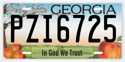 GA license plate PZI6725