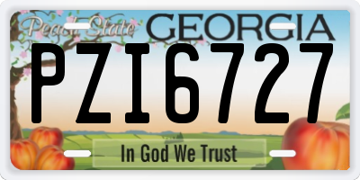 GA license plate PZI6727