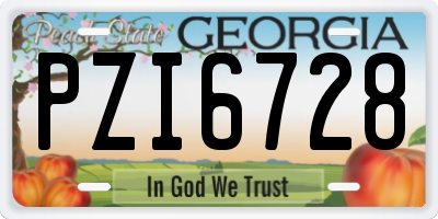 GA license plate PZI6728