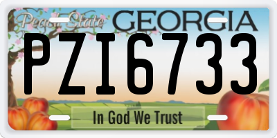 GA license plate PZI6733