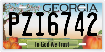 GA license plate PZI6742