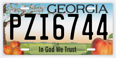 GA license plate PZI6744