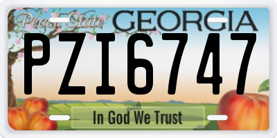 GA license plate PZI6747