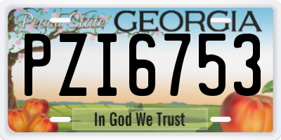 GA license plate PZI6753