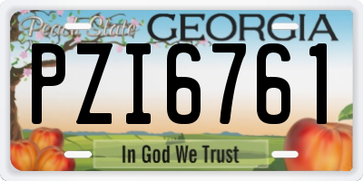 GA license plate PZI6761