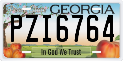 GA license plate PZI6764