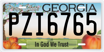 GA license plate PZI6765