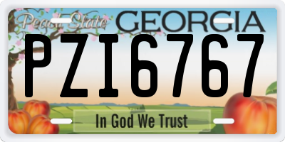 GA license plate PZI6767