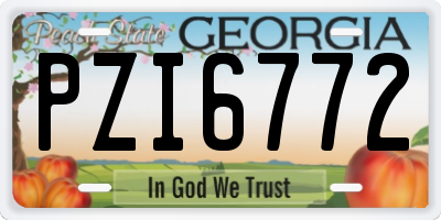 GA license plate PZI6772