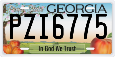 GA license plate PZI6775
