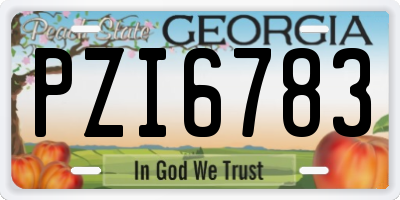 GA license plate PZI6783