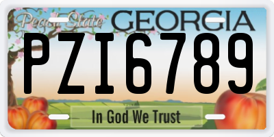 GA license plate PZI6789