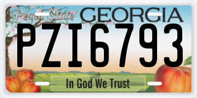 GA license plate PZI6793