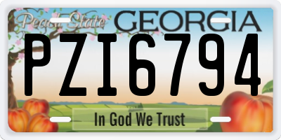 GA license plate PZI6794
