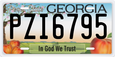 GA license plate PZI6795